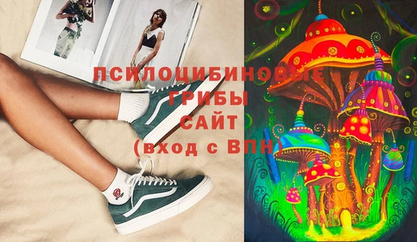 индика Новокубанск