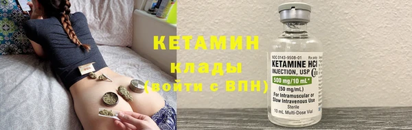 индика Новокубанск