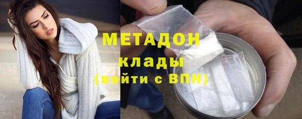 индика Новокубанск