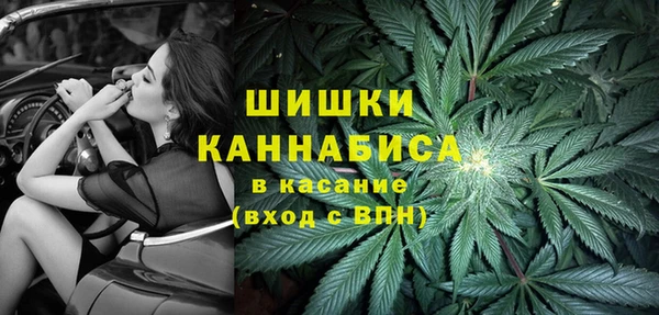 индика Новокубанск