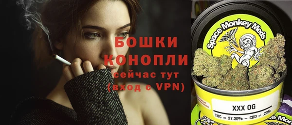 индика Новокубанск