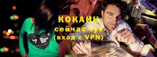 индика Новокубанск