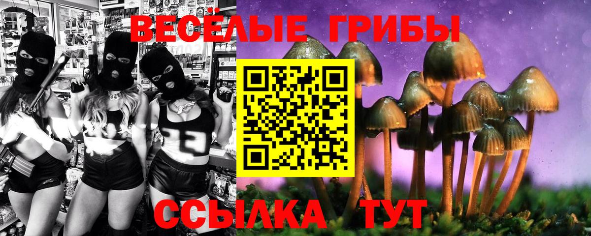 Апшеронск  Псилоцибиновые грибы Cubensis  Вход с VPN 